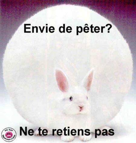mon lapin