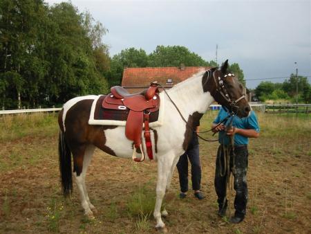 cheval